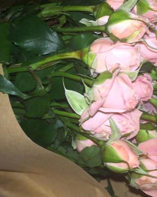 nmixx_20230321_3_8.jpg