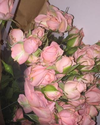 nmixx_20230321_3_9.jpg