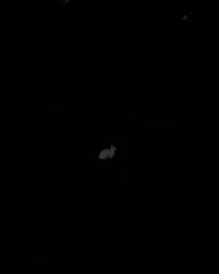 nmixx_20231105_3_9.mp4